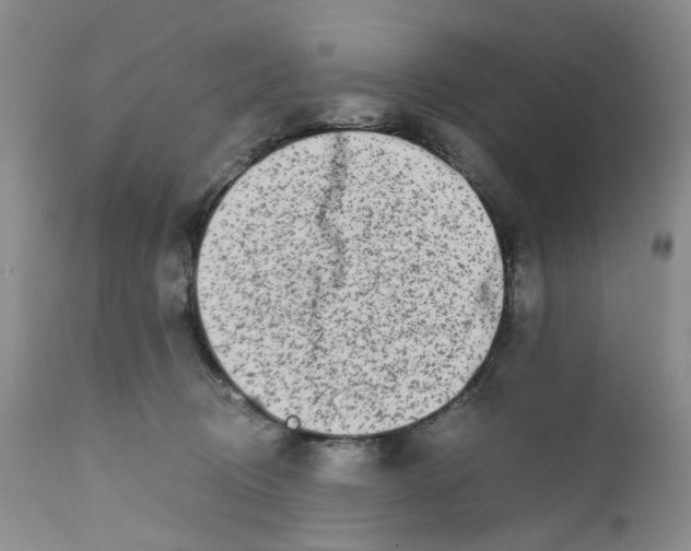 X0000111680370200908281141