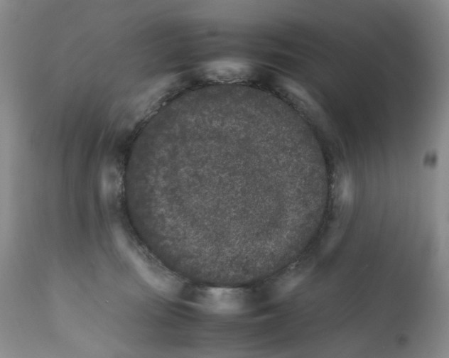 X0000111680371200908281141