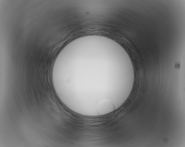 X0000111680372200908281141