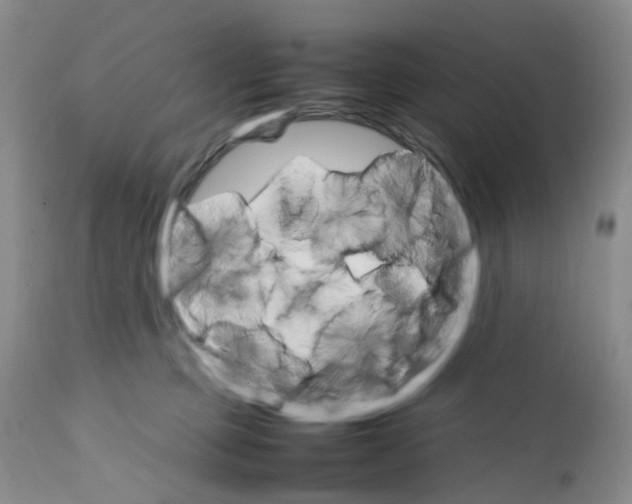 X0000111680373200908281141