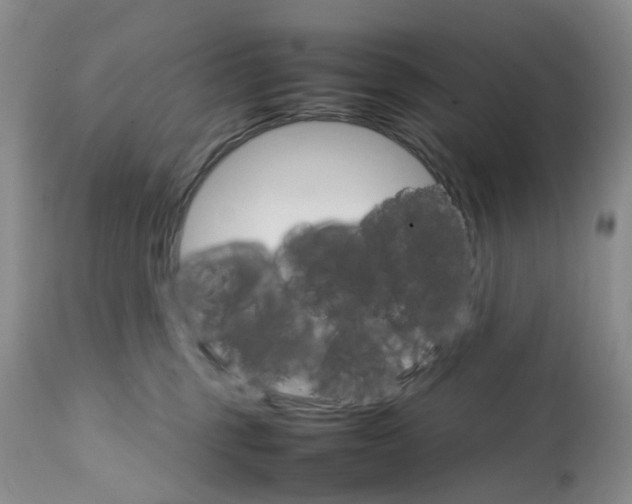 X0000111680375200908281141