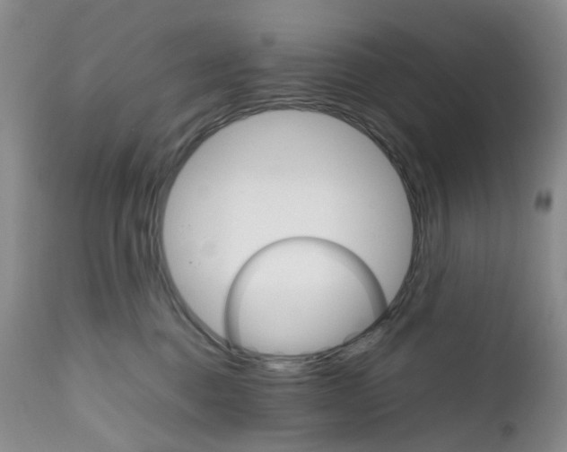 X0000111680376200908281141