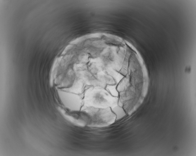 X0000111680377200908281141