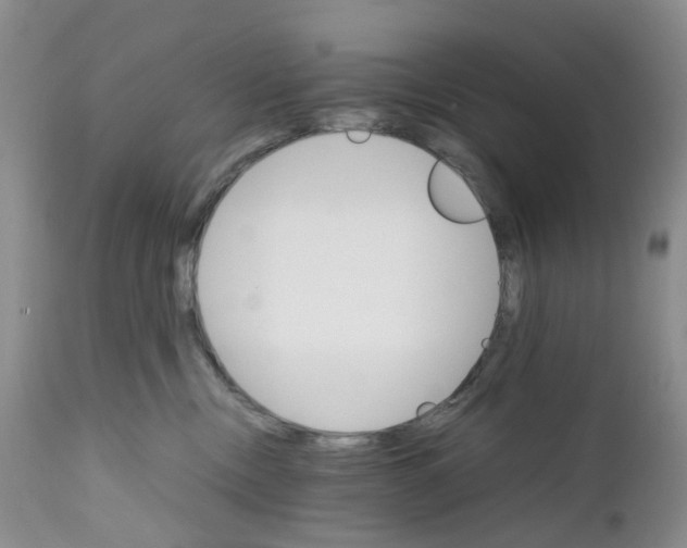 X0000111680378200908281141