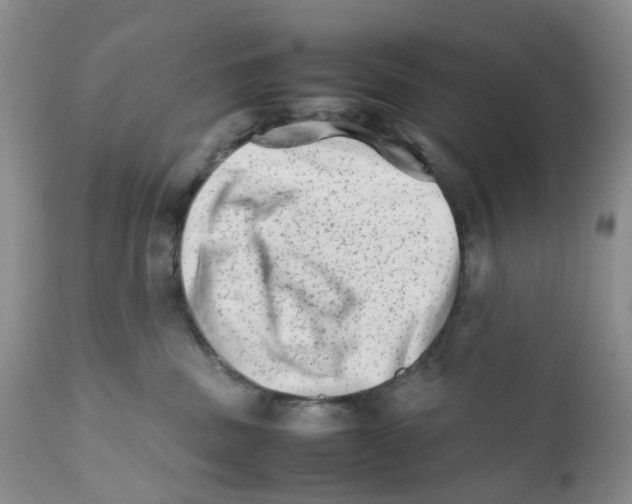 X0000111680379200908281141