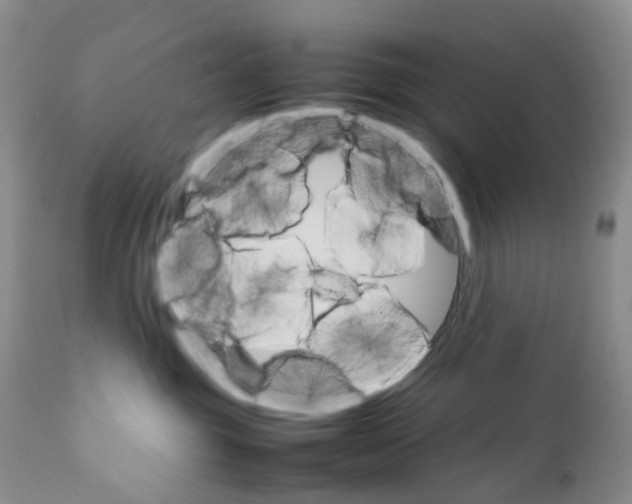 X0000111680381200908281141