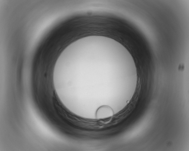 X0000111680383200908281141