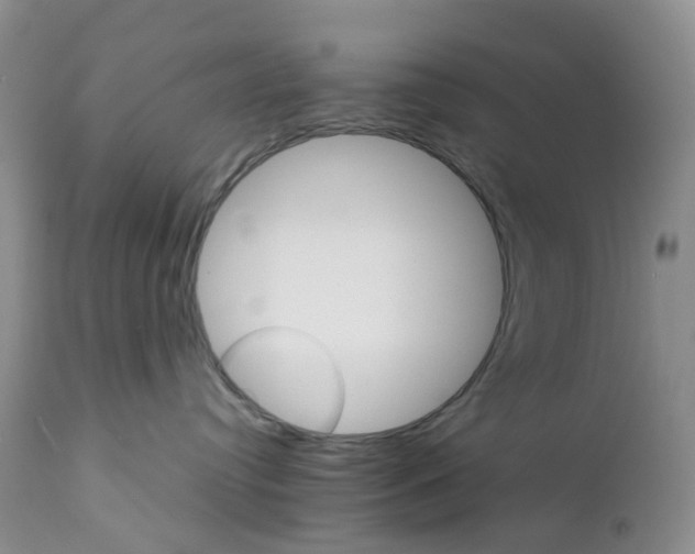 X0000111680384200908281141