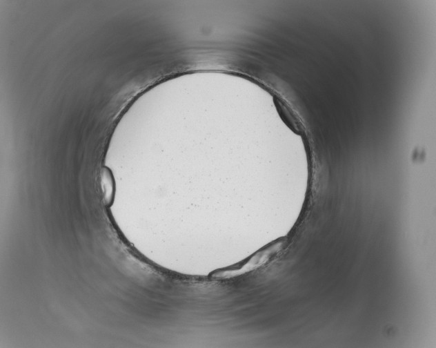 X0000111680385200908281141