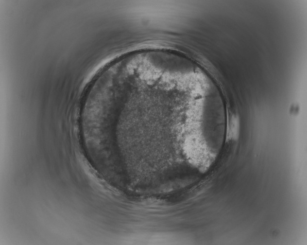 X0000111680387200908281141