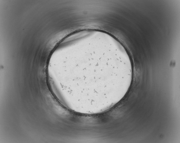 X0000111680389200908281141