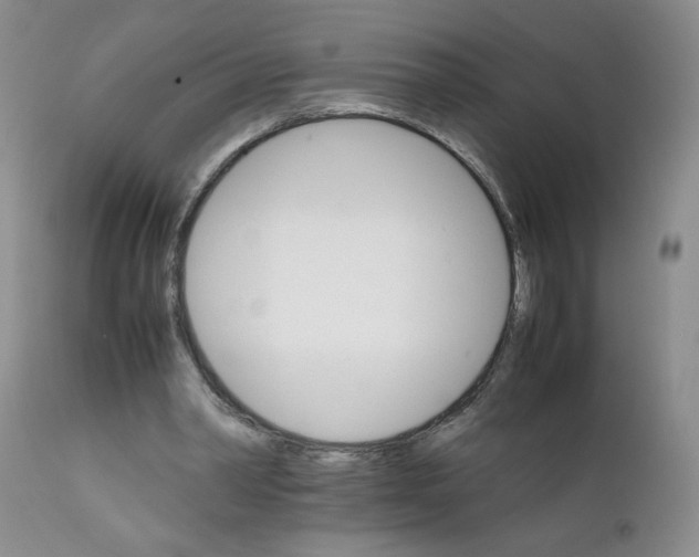 X0000111680390200908281141