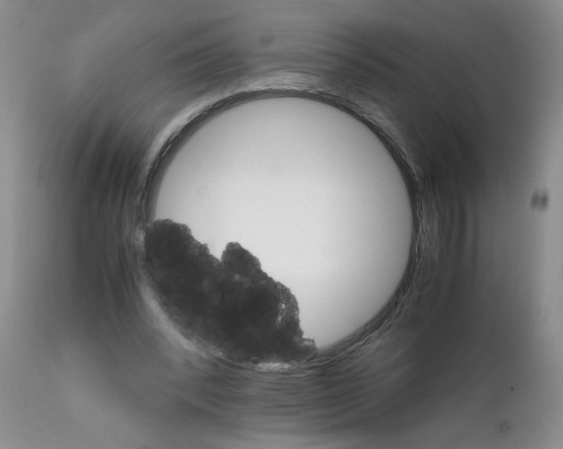 X0000111680392200908281141