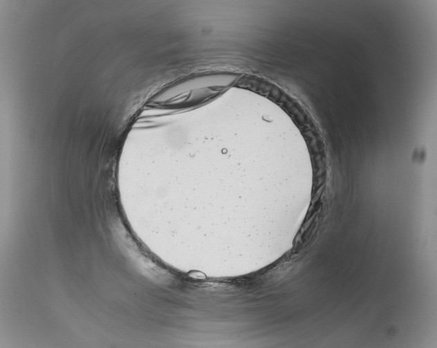 X0000111680393200908281141