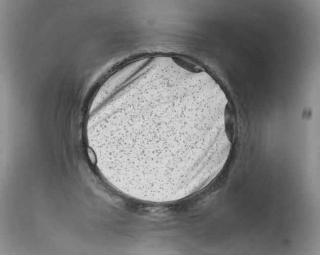 X0000111680395200908281141