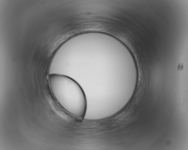 X0000111680397200908281141