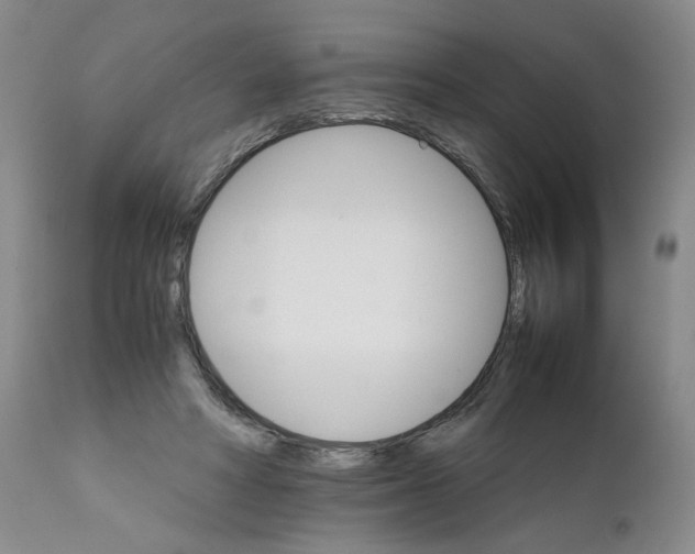 X0000111680402200908281141