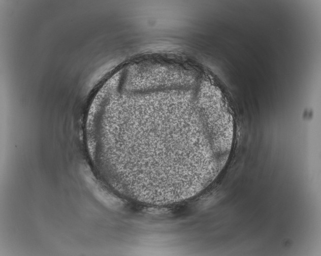 X0000111680403200908281141