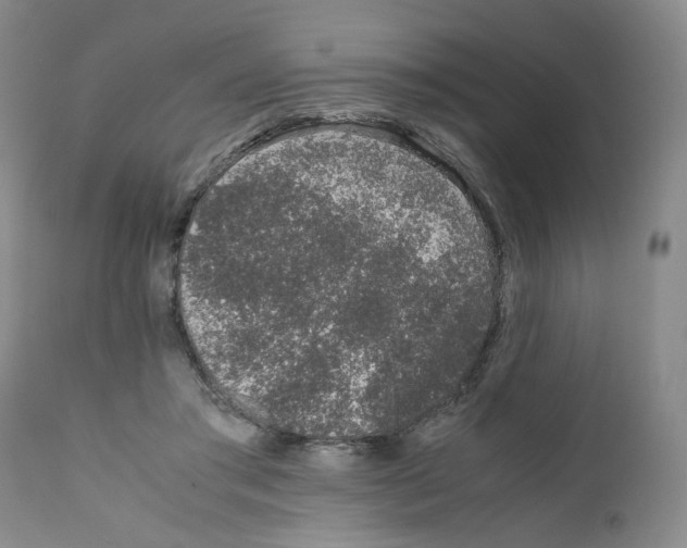 X0000111680405200908281141