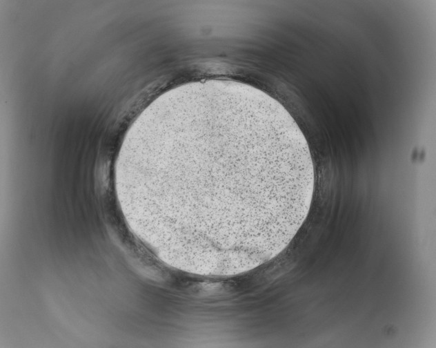 X0000111680406200908281141