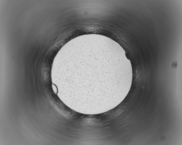 X0000111680408200908281140