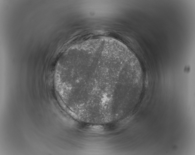 X0000111680409200908281140