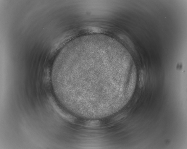 X0000111680410200908281140