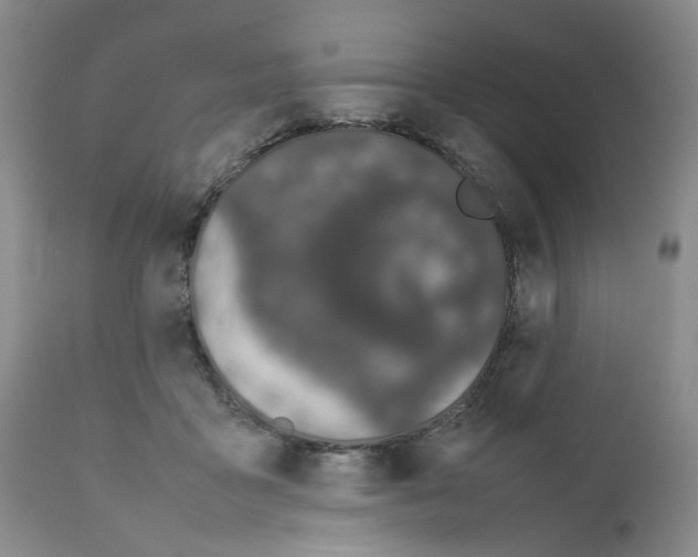 X0000111680411200908281140