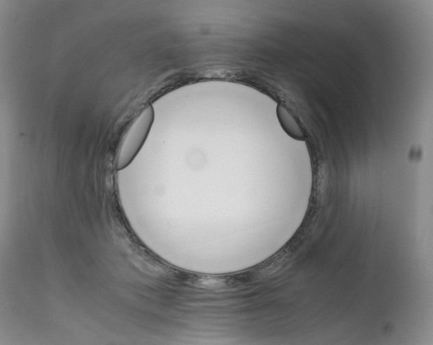 X0000111680413200908281140