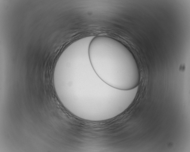 X0000111680417200908281140