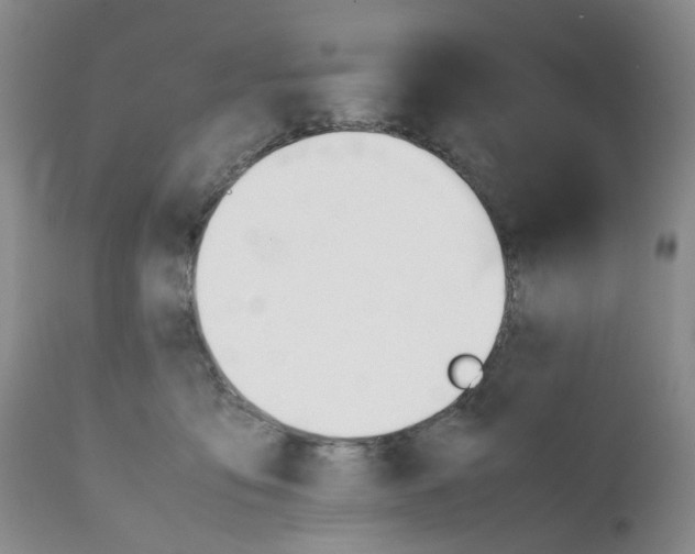 X0000111680419200908281140