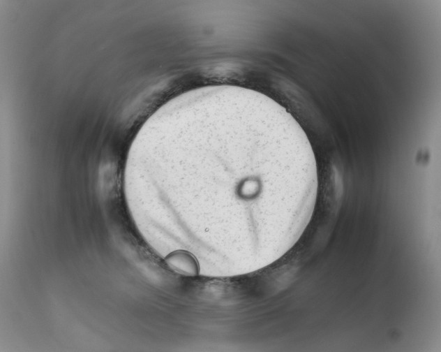 X0000111680420200908281140