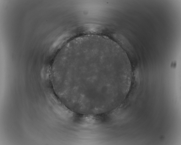 X0000111680423200908281140