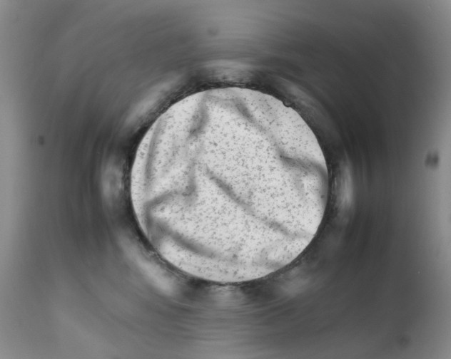 X0000111680424200908281140