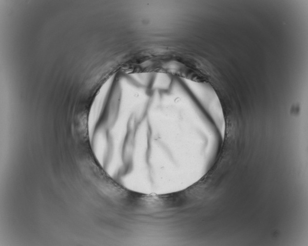 X0000111680425200908281140