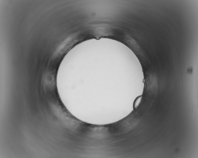 X0000111680426200908281140