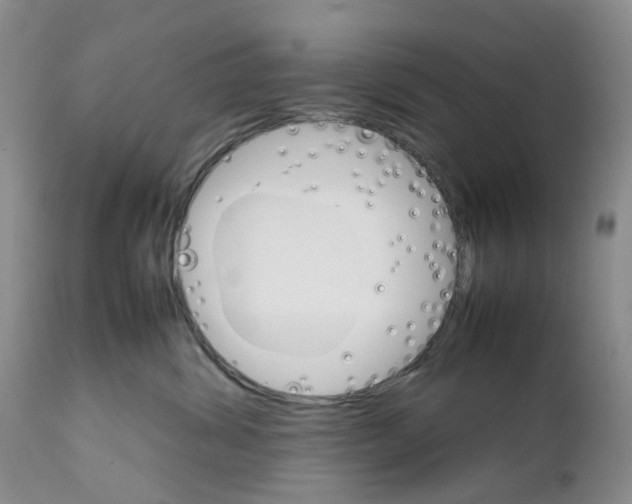 X0000111680428200908281140