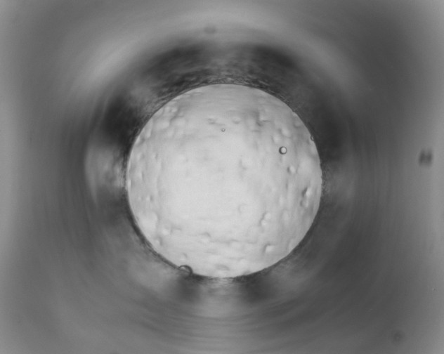 X0000111680431200908281140