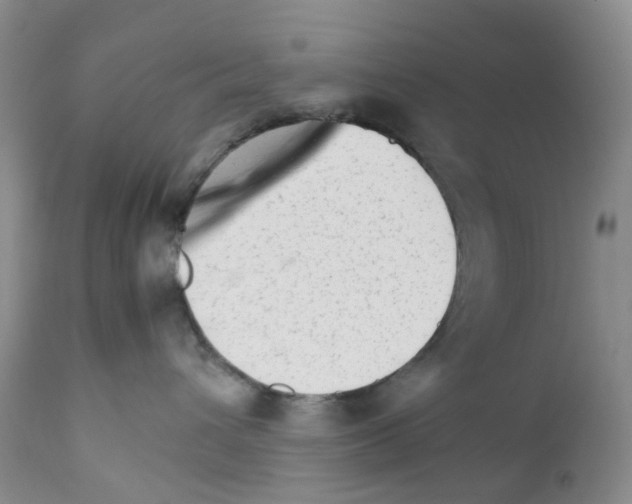 X0000111680432200908281140