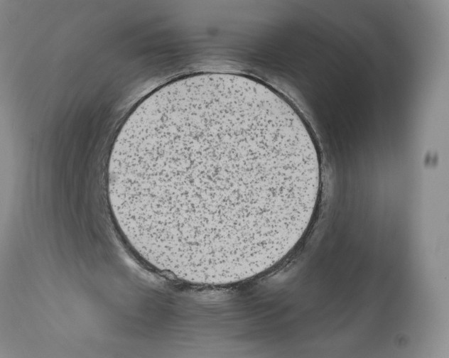 X0000111680433200908281139