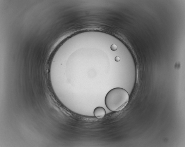 X0000111680435200908281139