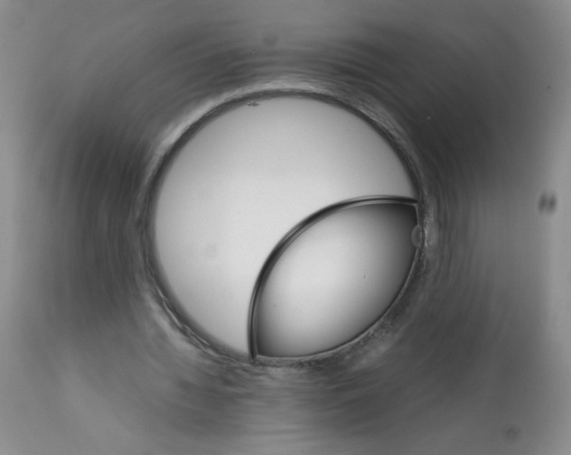 X0000111680436200908281139