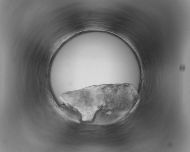 X0000111680437200908281139