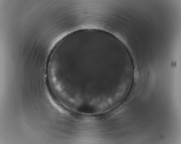 X0000111680438200908281139