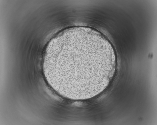 X0000111680441200908281139