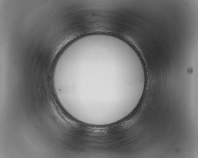 X0000111680443200908281139