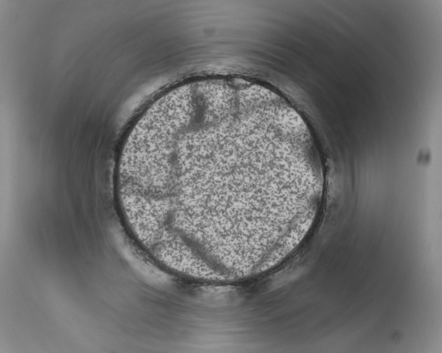 X0000111680446200908281140