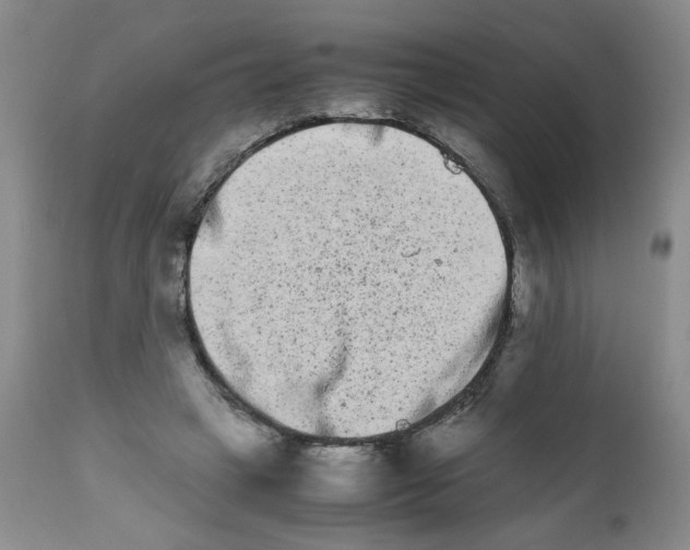 X0000111680449200908281140