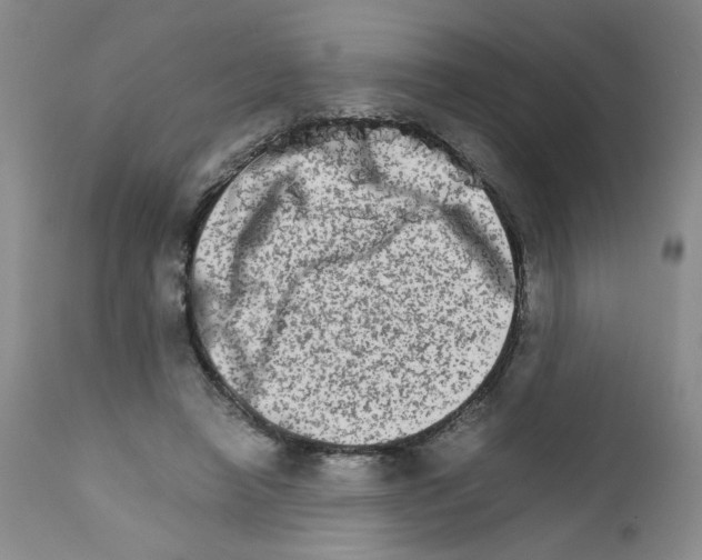 X0000111680450200908281140