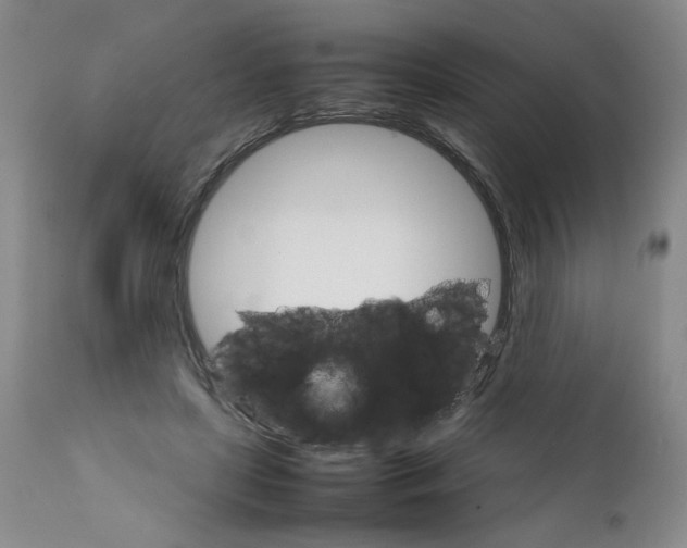 X0000111680451200908281140